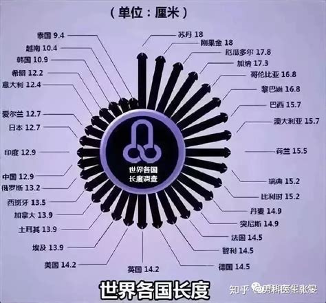 下面尺寸|丁丁多小，才是真的小？